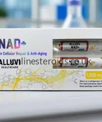 NAD+ 1000MG Pen